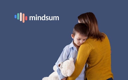 Mindsum