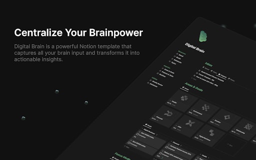 Digital Brain x Lokki