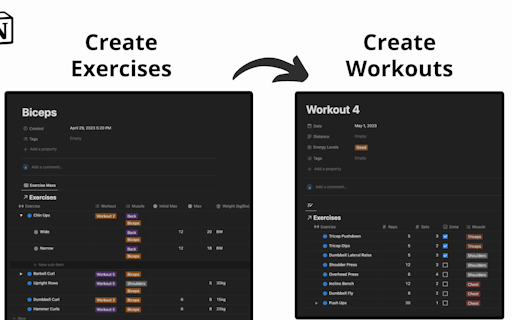 Notion Health & Fitness Challenger