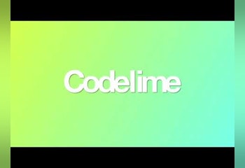 Codelime - Snippet Manager & Dev Tools