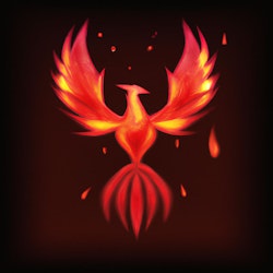 Learn Phoenix with Phoenix on Rails