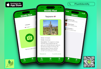 PlantIdentify - Plant Detector