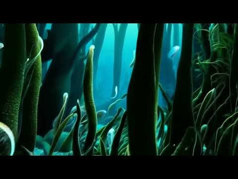 Dream Machine AI Online