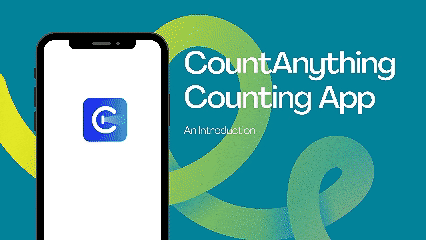 CountAnything