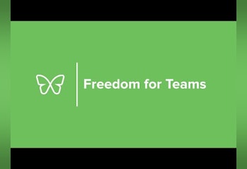 Freedom for Teams
