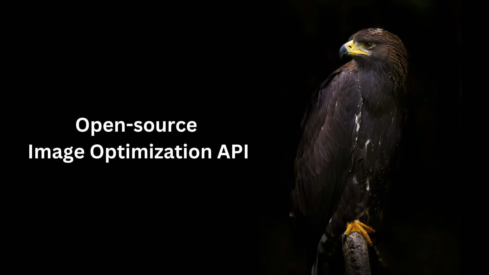 Eagle Image API