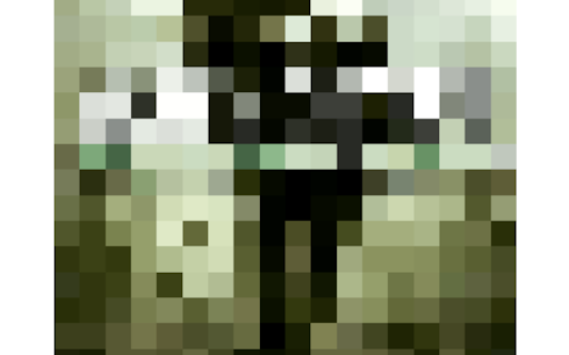 CoverQuest