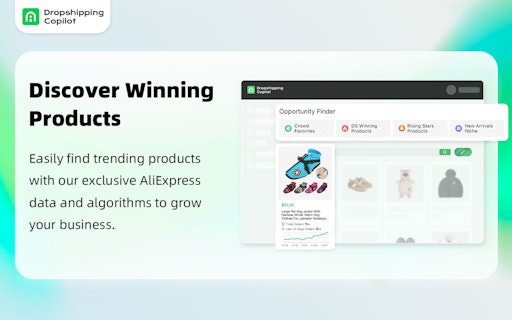 Dropshipping Copilot