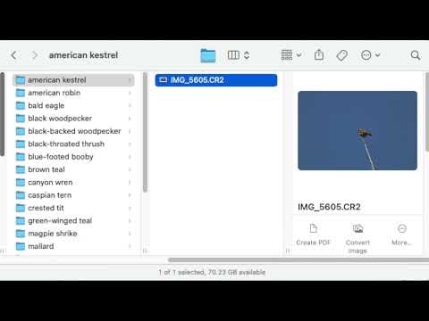 CrossPrism Photo Labeler for MacOS