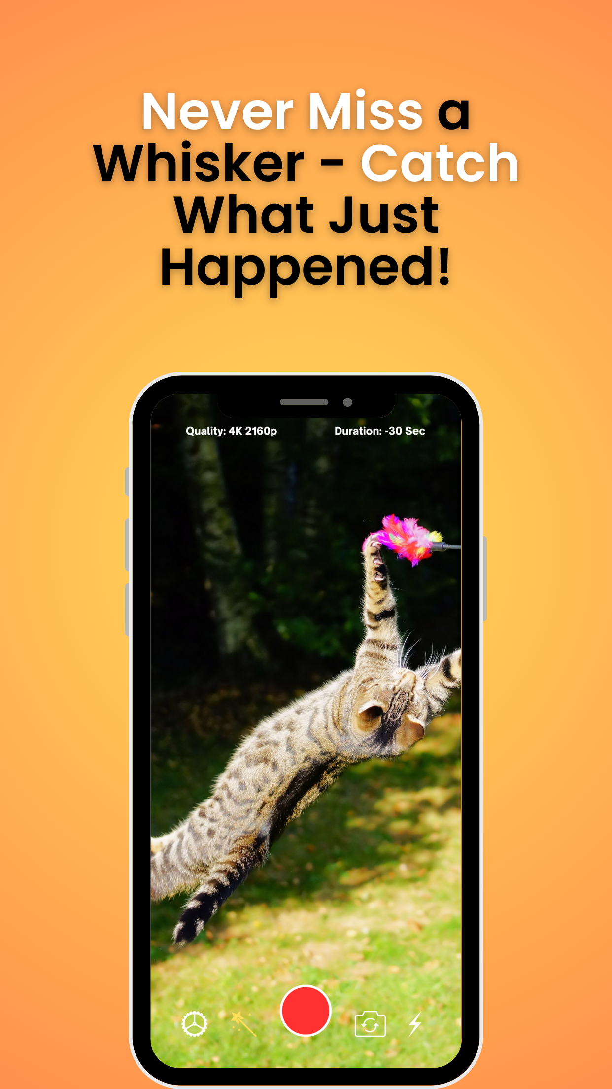 RecordBack: PreCatch Camera