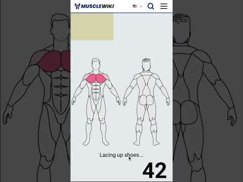 MuscleWiki Ai Workout Generator