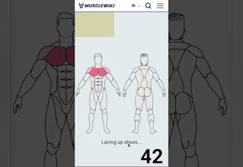 MuscleWiki Ai Workout Generator