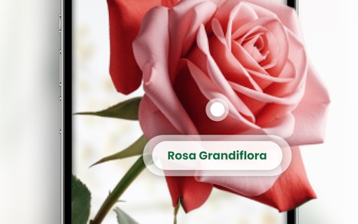 Plant ID & Disease Identifier