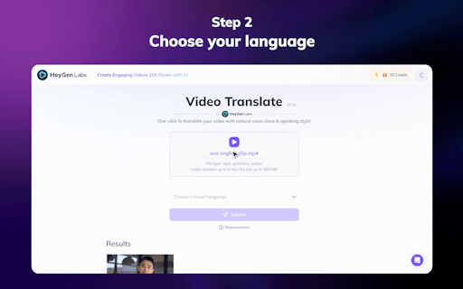 Video Translation