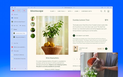 Arc for Windows