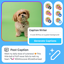 Later’s AI Social Media Caption Writer
