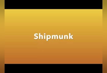 Shipmunk - ASO Keywords