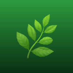 Basil Finance