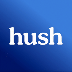 Hush Privacy AI
