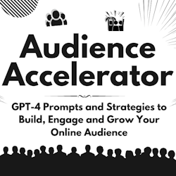 Audience Accelerator: GPT-4 Prompts