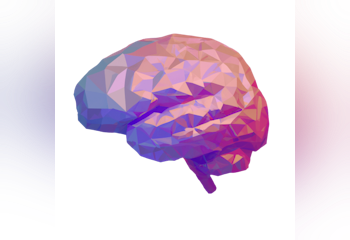 Gigabrain Reddit Profile Analyzer