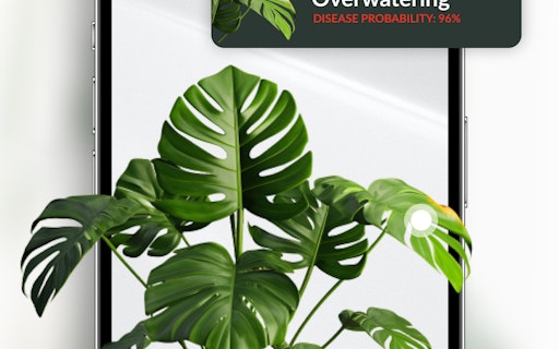 Plant ID & Disease Identifier