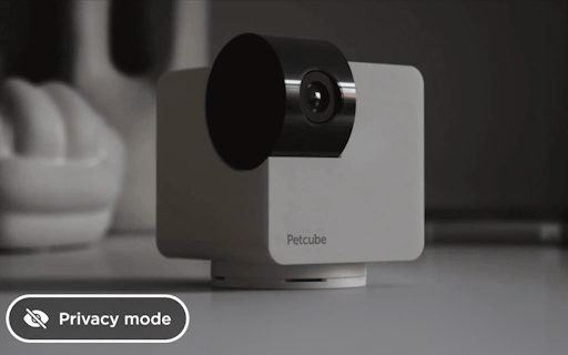Petcube Cam 360