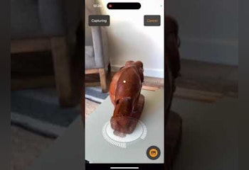 3D Scanner: Sapling
