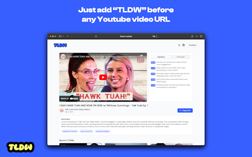 Too Long, Didn't Watch (TLDW) - Youtube