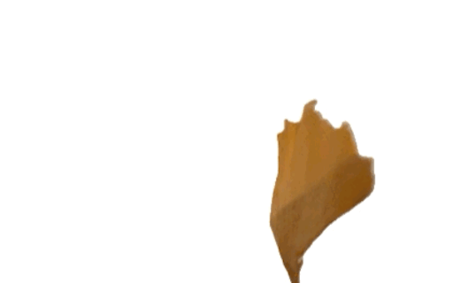 Yolk.fm