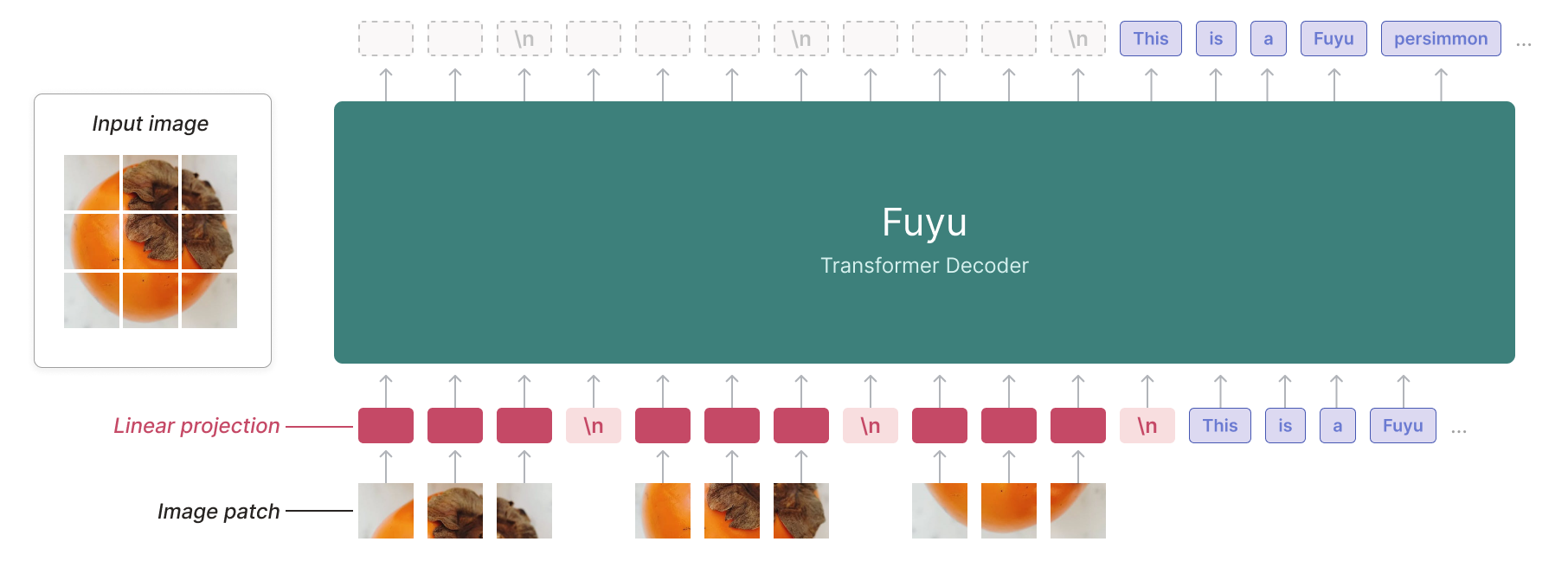 Fuyu-8B