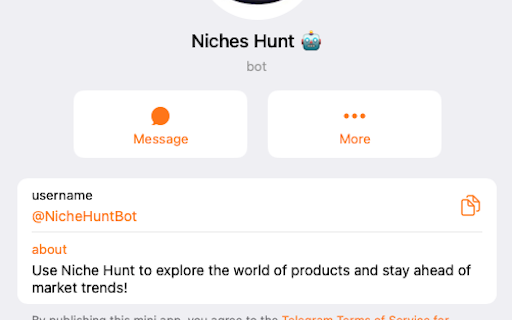 Niche Hunt Bot