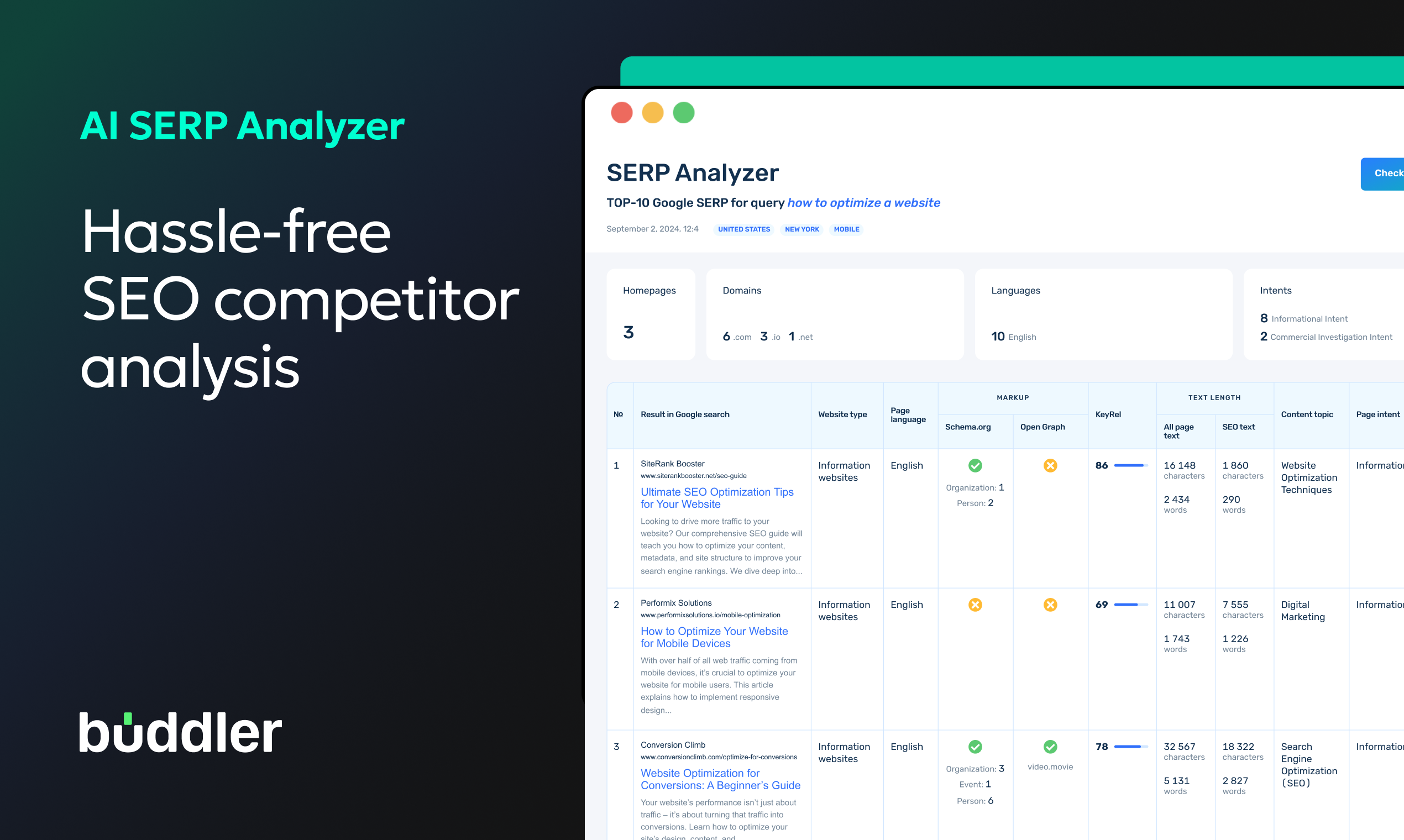 AI SERP Analyzer by Buddler