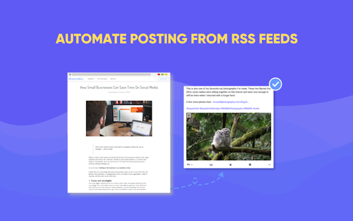SocialBu for Mastodon
