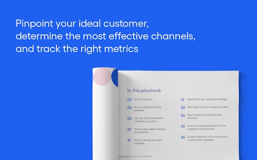 Mastering Customer Acquisition Playbook