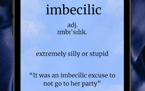 Vocabulary Expert