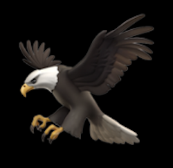 Sponsor Hawk
