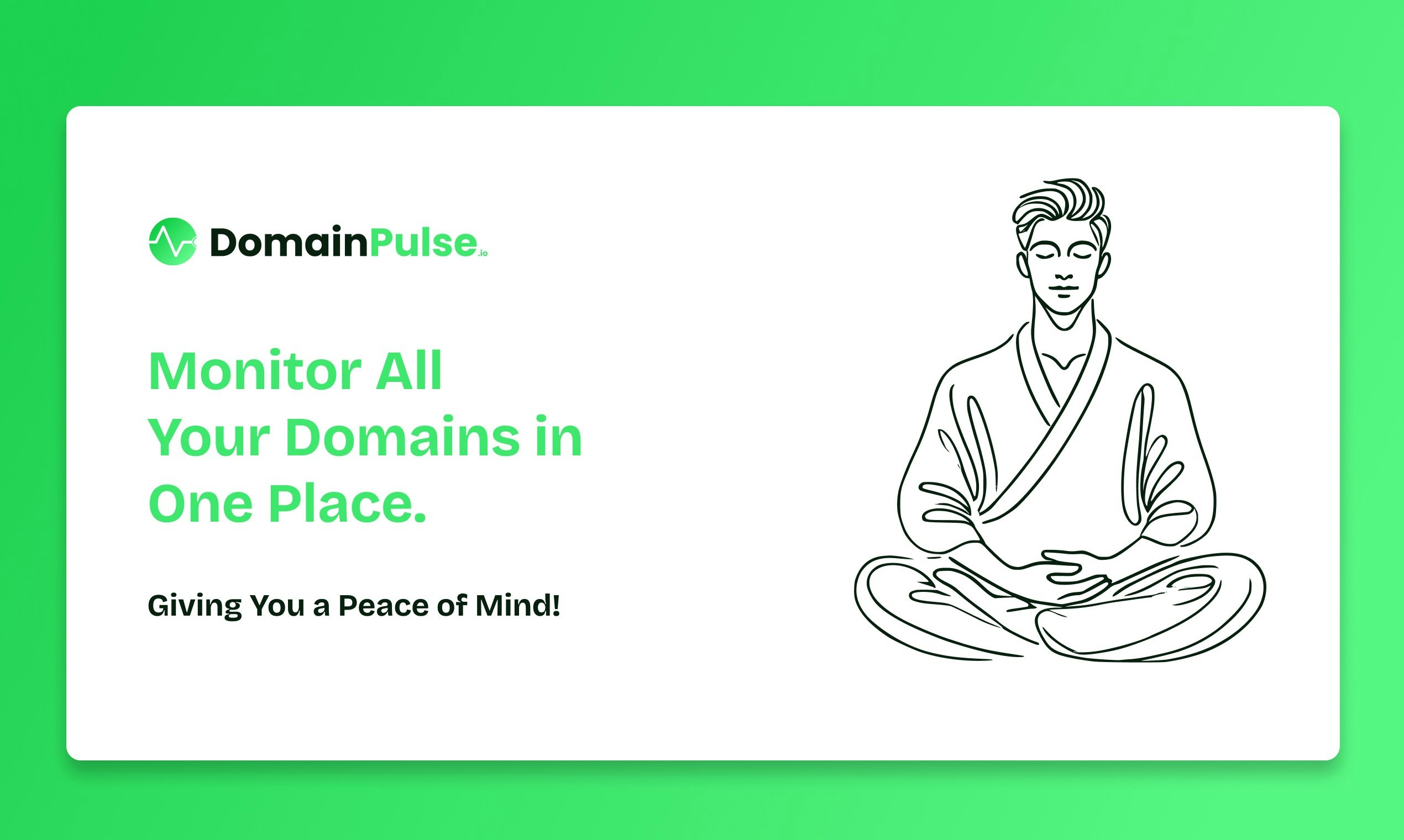 DomainPulse.io