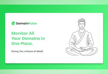 DomainPulse.io