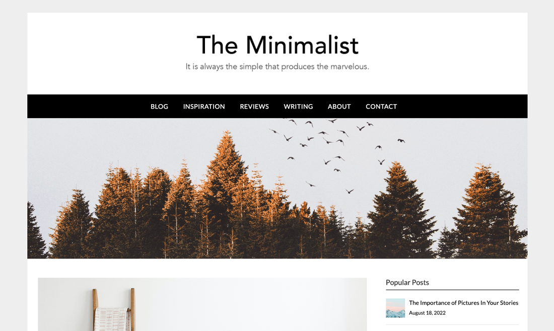Blogily WordPress Theme