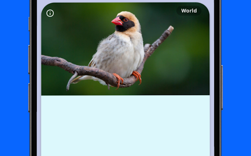 FactJano: Fun & Easy Learning