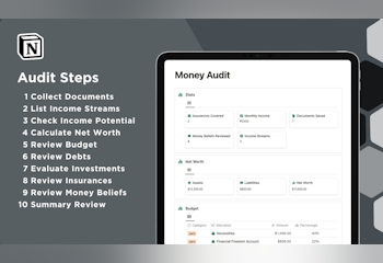 Notion Money Audit System
