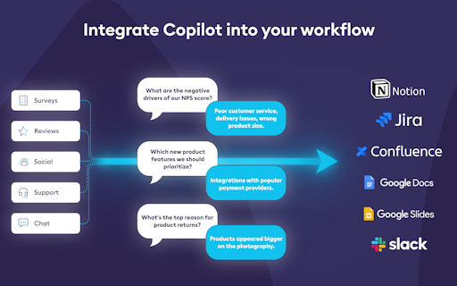 Copilot by Chattermill