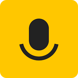 Audio Notes AI