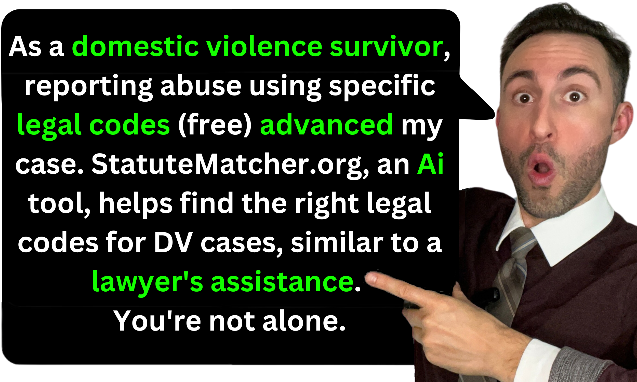 Domestic Violence Statute FINDER