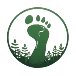 My Footprint