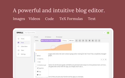 SMALL Blog