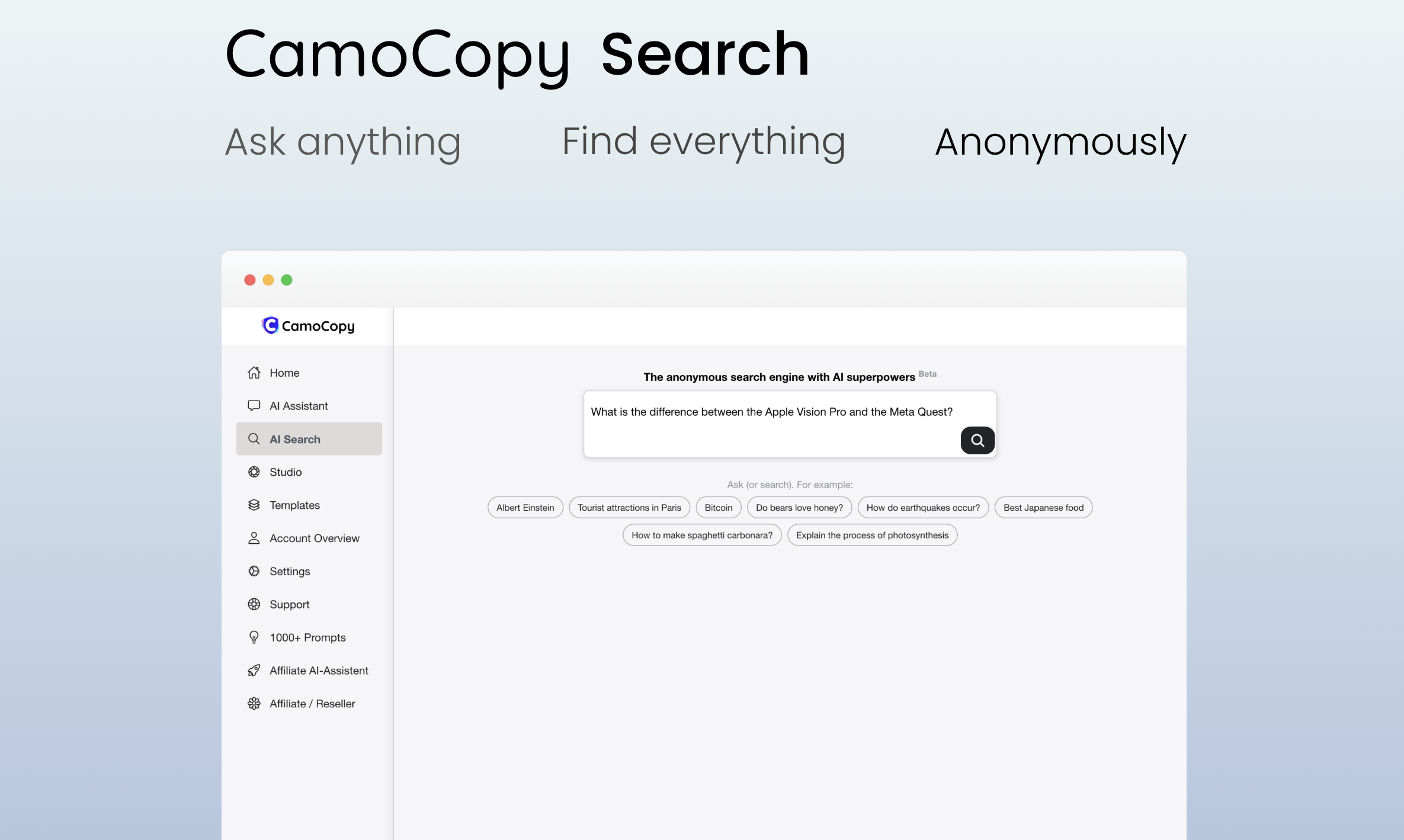 CamoCopy Search
