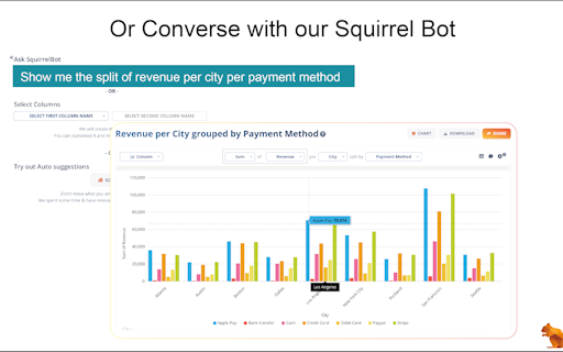 DataSquirrel.ai