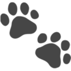 Pet Lens AI